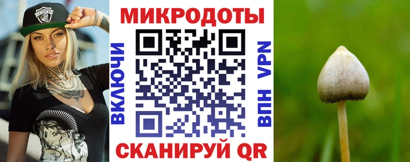 Галлюциногенные грибы Psilocybe  Усть-Лабинск 